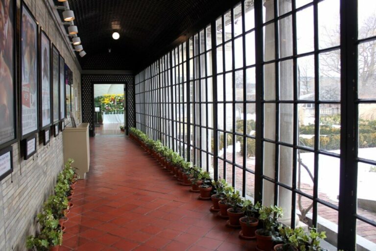 Flowers lining the corridor